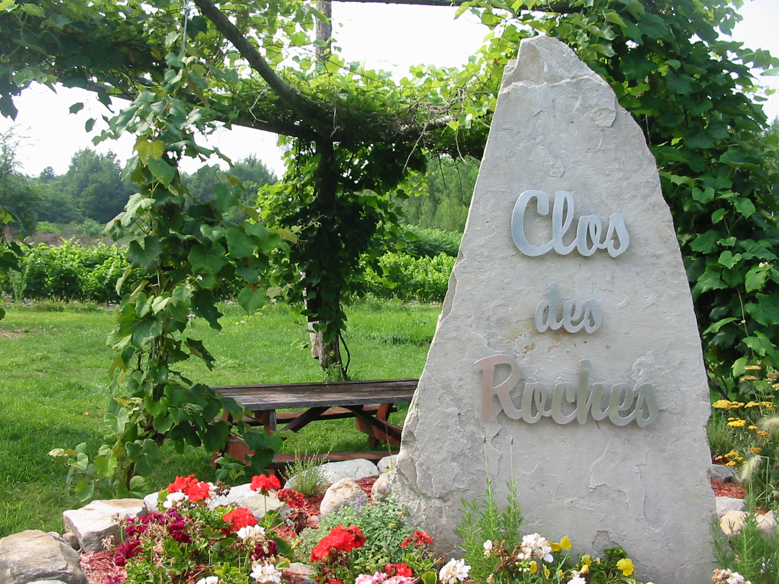 Clos des Roches Clos des Roches